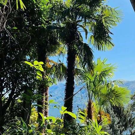 Enchanting View Of Maggiore Mountains Appartamento